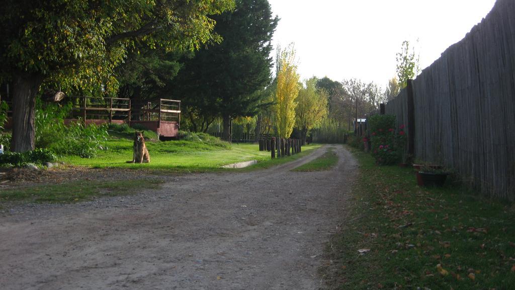 Posada Del Viajero San Rafael Bagian luar foto